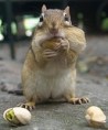 /album/obrazocky-/a23-jpg/